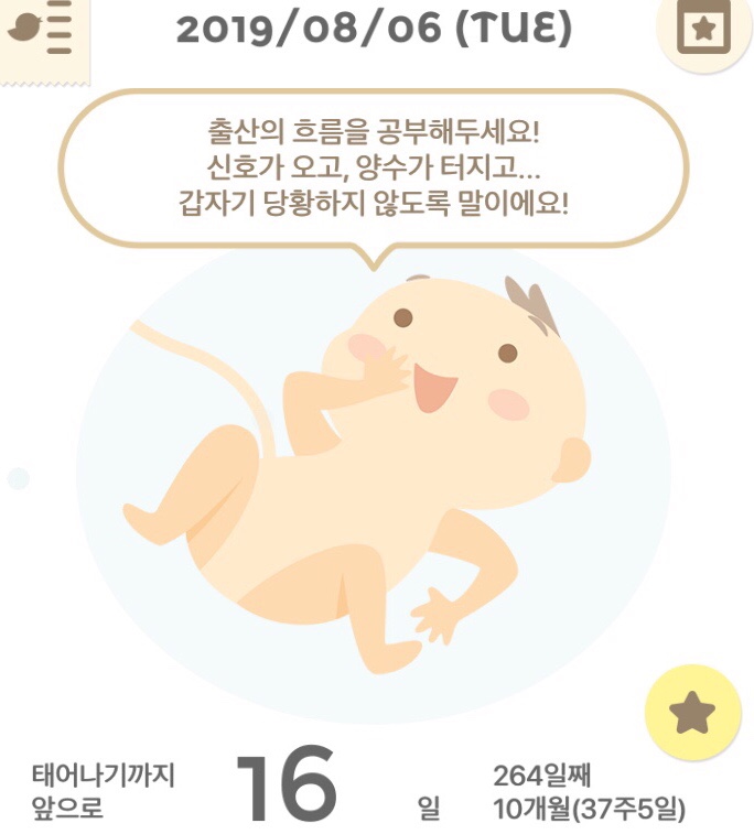  임신 37주 5일 일상
