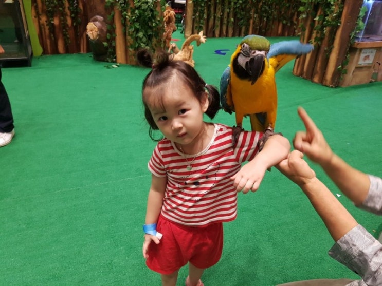  롯데백화점 대구점 정글대탐험 체험 후기