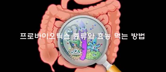 프로바이오틱스 종류와 효능 먹는 방법