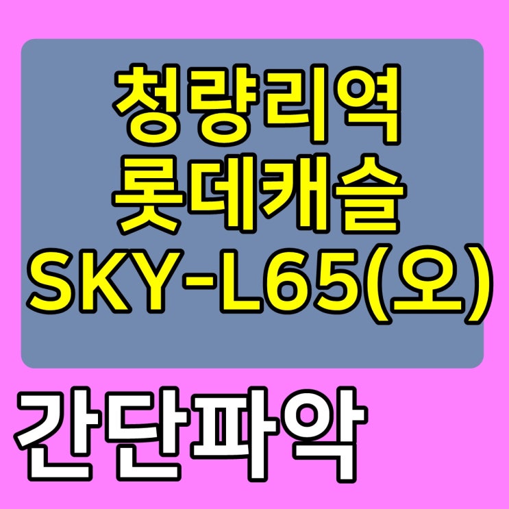  청량리역롯데캐슬SKY-L65(오) 간략살피기~