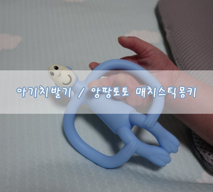  아기치발기 앙팡토토 매치스틱몽키 : 모모의 첫 치발기