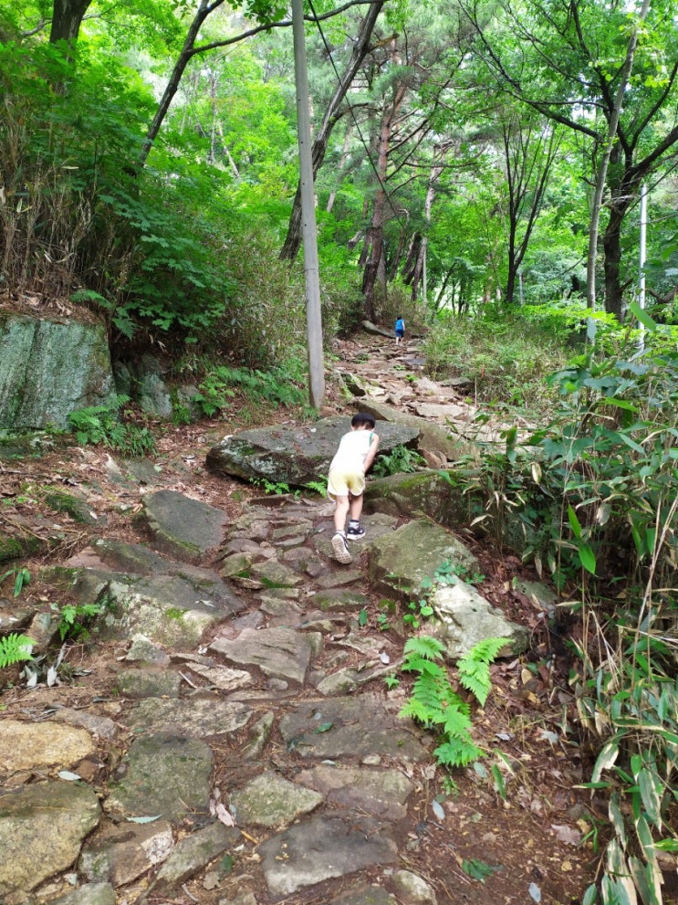  아이와 함께 등산/ 거창 우두산 고견사 여름등산