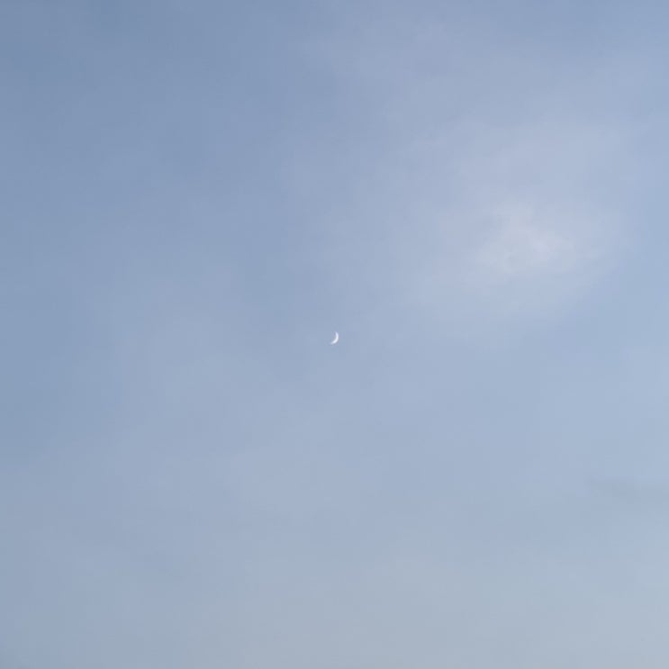  갤러리털기