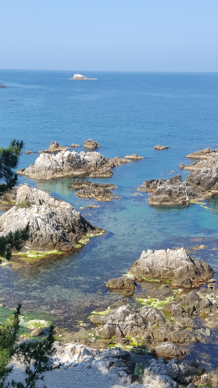  다시 본 영화'기생충'을 보고 나서, 마음이 진정이 되지 않네...쉬고 싶어진다...