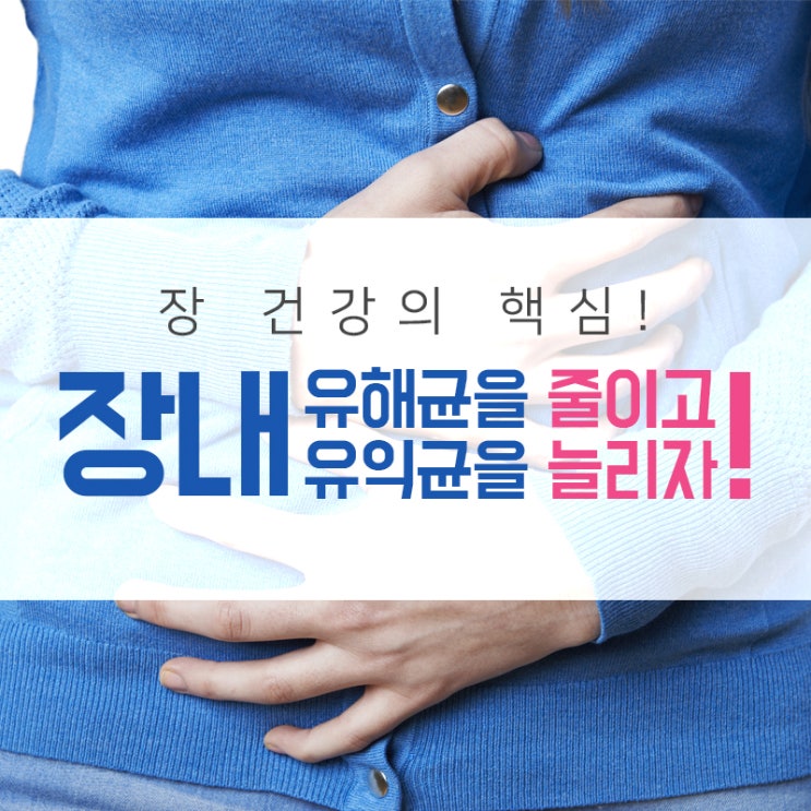 프로바이오틱스 장 건강, 장내 유해균을 줄이는 것이 핵심!