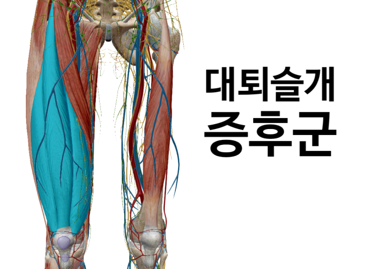 무릎통증. 무릎앞쪽이 아프고 소리가 난다면?슬개대퇴증후군/무릎연골연화증[영통역 새움한의원]