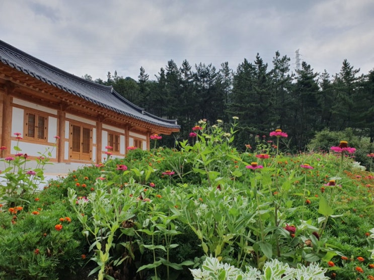  칠월칠석기도 보천사