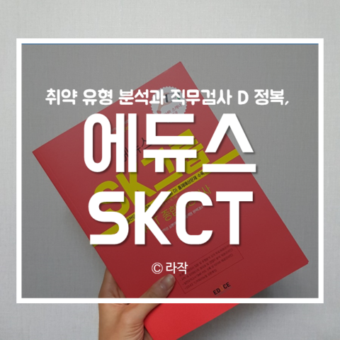  취약 유형 분석과 직무검사 D정복, 에듀스 SK 실전모의고사 교재 후기