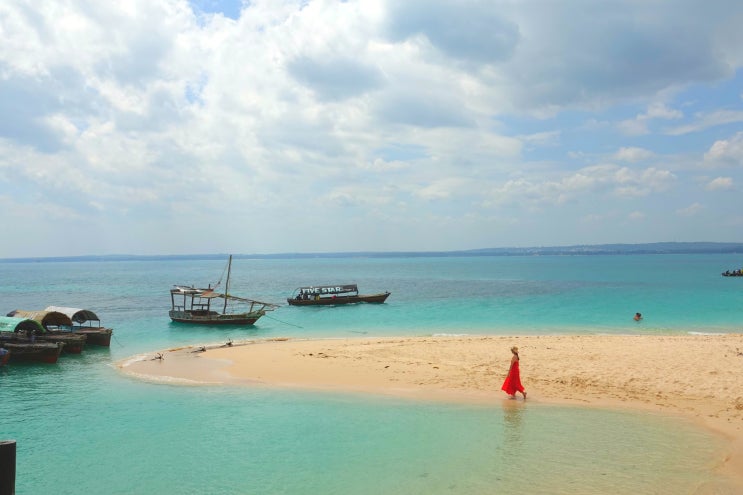  [아프리카 신혼여행] 잔지바르 프리즌 아일랜드 투어 Feat. 대왕거북이