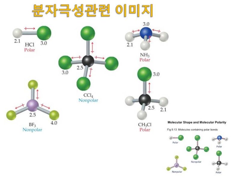 극성, 비극성, 쌍극자 모멘트, 전기음성도, 정전기적 인력, 분극,용해도, 공유전자쌍, 반데르발스 힘(배향력.유도력.분산력 ...