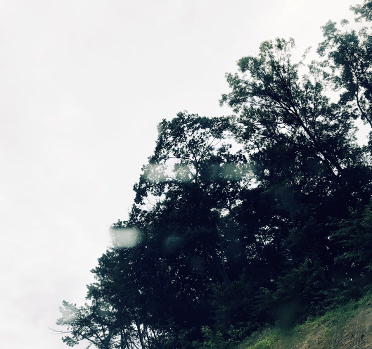 190807.