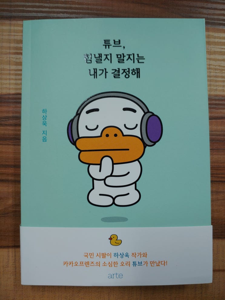 튜브, 힘낼지 말지는 내가 결정해(에세이, 2019년 여름) 출근길, 카카오프렌즈, 일상, 공감, 하상욱 작가. 튜브, 힘낼지 말지는 내가 결정해(에세이, 2019년 여름) 출근길, 카카오프렌즈, 일상, 공감, 하상욱 작가.