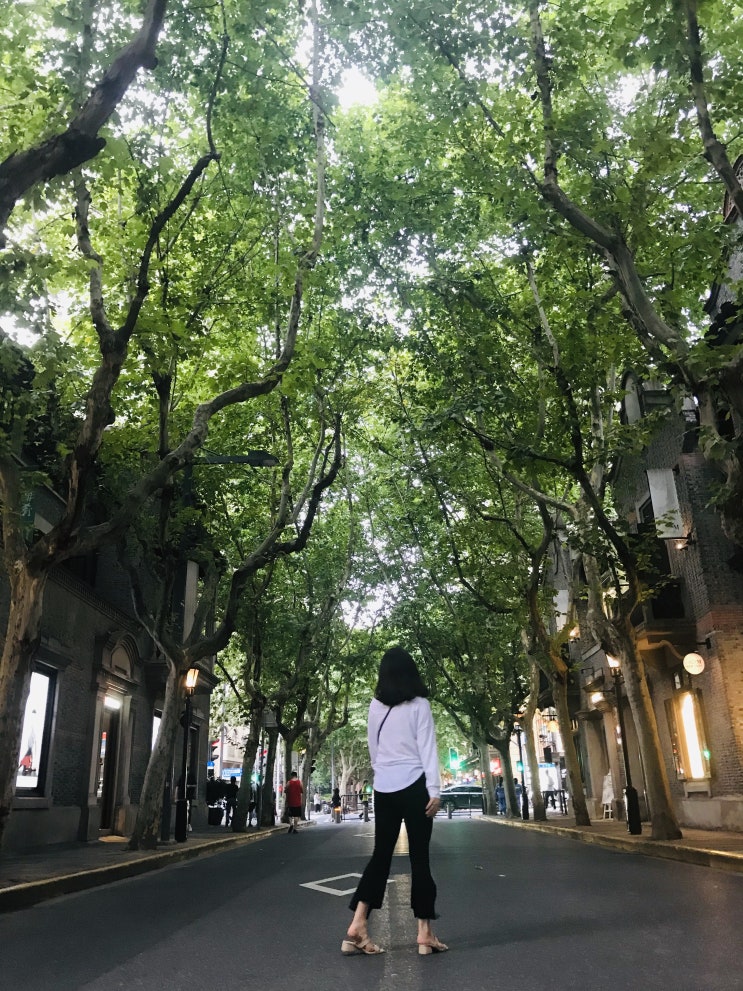  #중국 - 상해 신천지 / 응커피 %Arabica / Heytea 시차 / LeTAO 르타오 / GREEN&SAFE