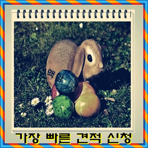  평균암치료비 Hint보기