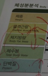  건강한 다이어트