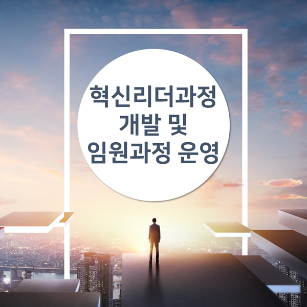  혁신리더 - H그룹, 2019 과정 개발 및 임원과정 운영 사례
