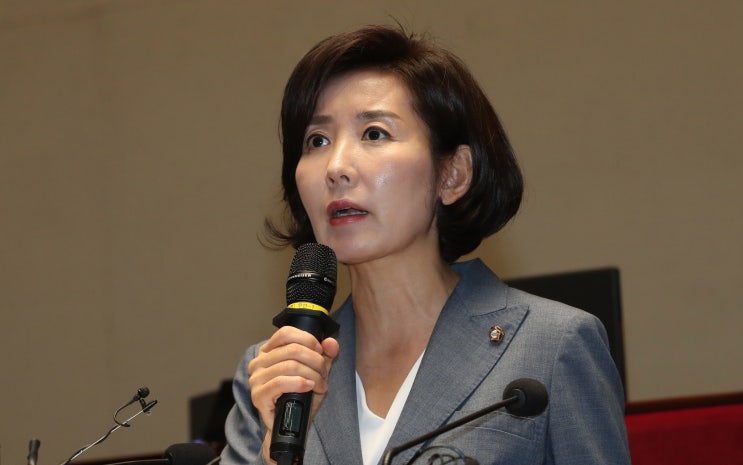 나경원 자유한국당 원내대표, "우리 일본" 발언 논란