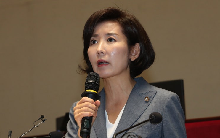  나경원 자유한국당 원내대표, "우리 일본" 발언 논란