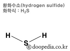 한국리스크연구소_황화수소의 위험성