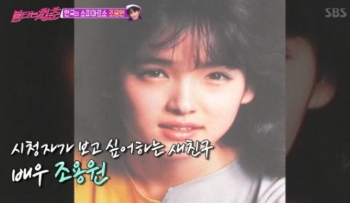  춘천대리운전 , 새친구 대리운전 1877-4791