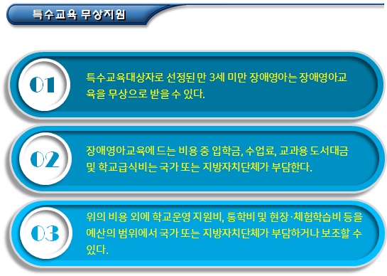 장애영아에 대한 특수교육 및 보육 장애영아에 대한 특수교육 및 보육