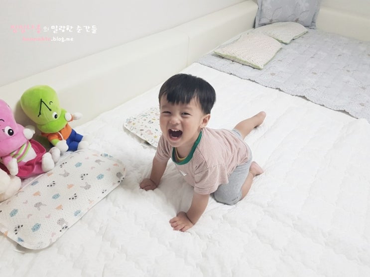  4인가족 패밀리침대 선택하기/ 아이솔가구 아이린 저상형 패밀리침대