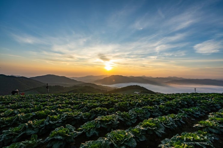  안반데기 마을 은하수 / 일출 풍경