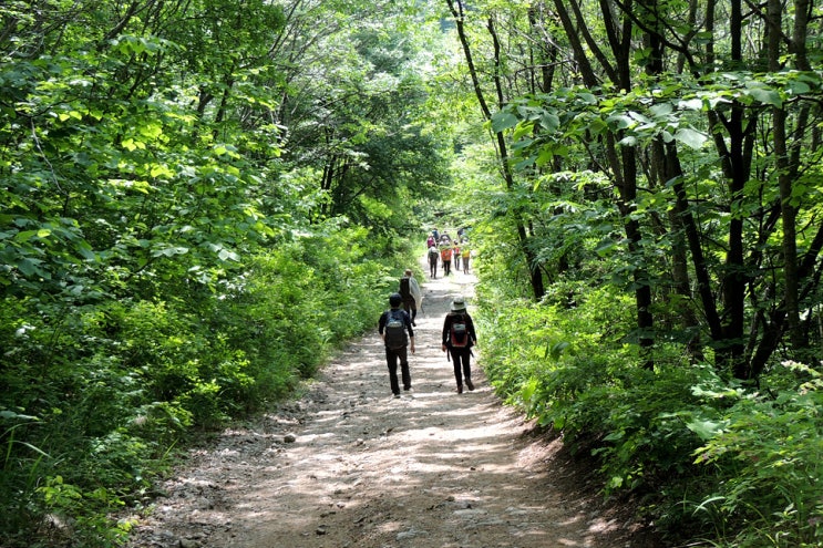  비수구미 계곡트레킹, 오지에서 오지가 아닌 길을 걷다