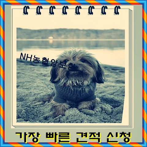  특정암 확인해요