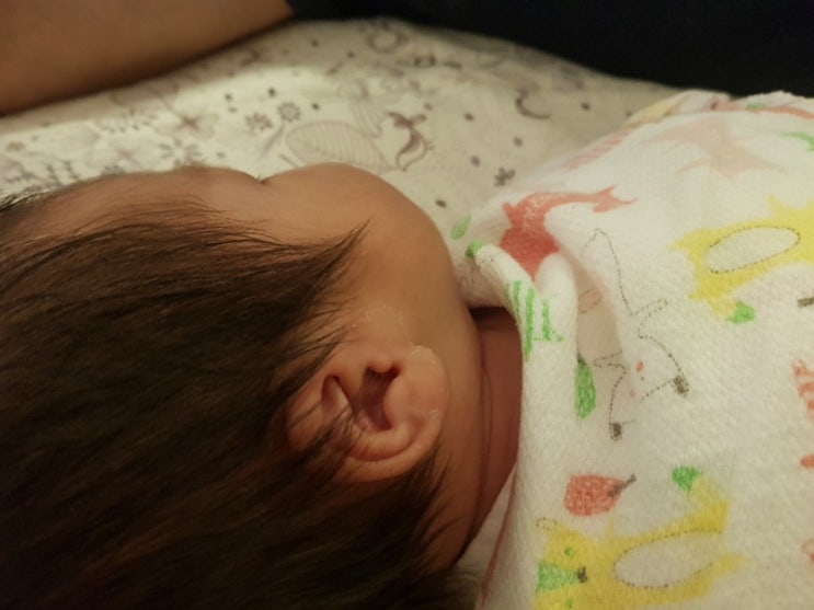  황금돼지띠맘 :: 안녕, 나의 귀염둥이 아기사자야c