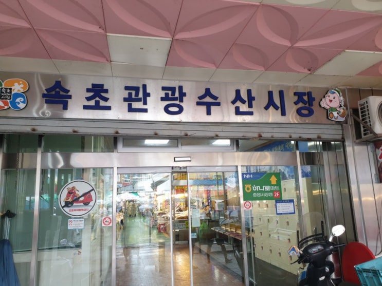  속초 - 만석닭강정+성실젓갈+씨앗호떡+김민경의꼬마김밥