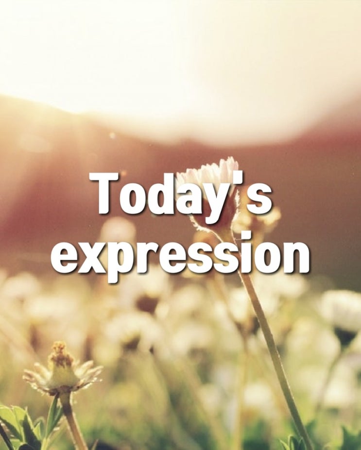  [대구 동구 영어 NES 어학원] Today's expression