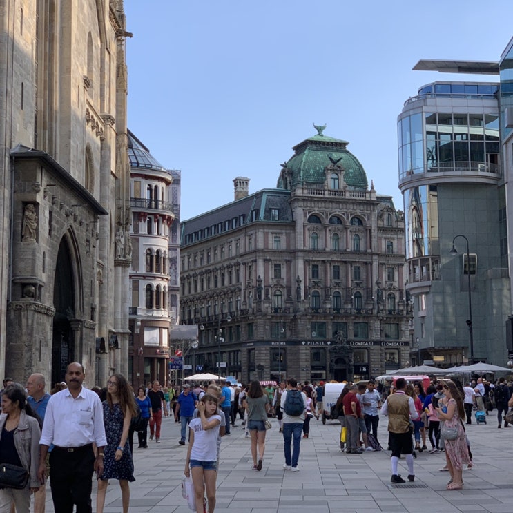  VIENNA-(3)