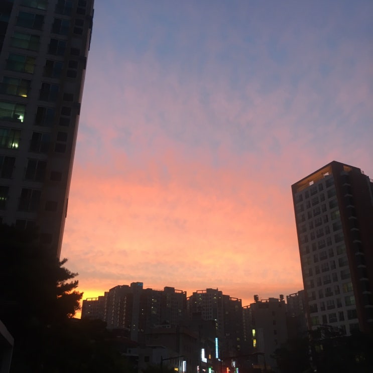  새롭게 시작.