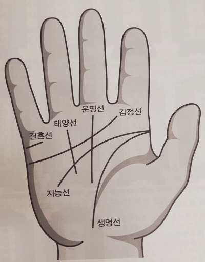  손금1 (생명선, 지능선, 감정선)