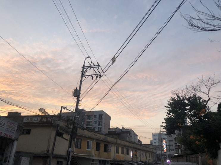  8월일상