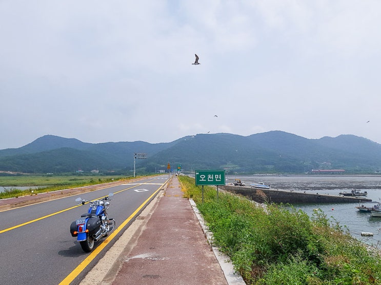  [2019.8.9] 서해안 여름 투어 : 할리데이비슨 소프테일 디럭스 103
