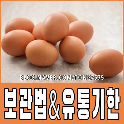  계란 보관법과 달걀 유통기한 알고 드세요