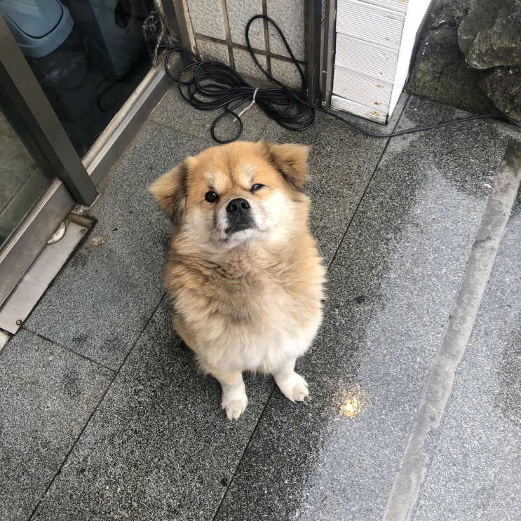  제주도 2일차 :: 감성국수, 다이나믹 메이즈, 올레시장, 제주곰집, 서귀포 여행 >_<