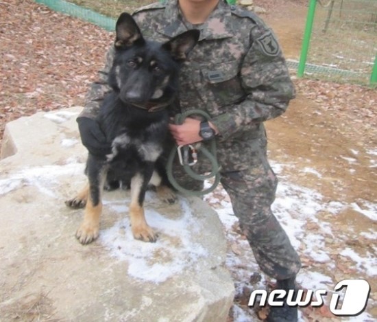  조은누리 목숨 구한 '달관이', 당 1800원짜리 사료 먹어…군견 복지 논란