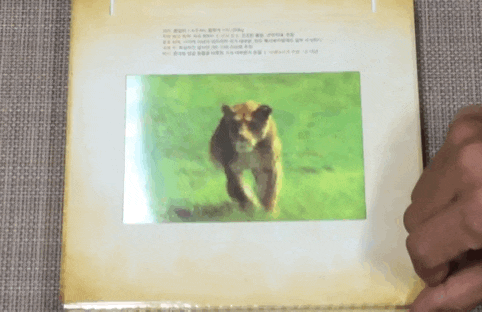  뉴욕타임즈 베스트셀러 포티큘러 북(움직이는 3D책) 정말 신기한 유아용책!