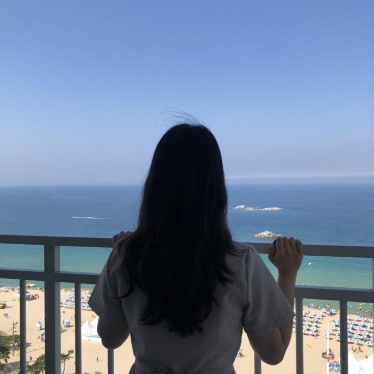  2주동안 뭘 했냐면