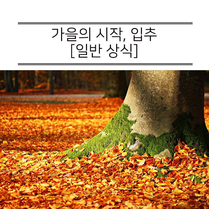  가을의 시작! 입추에 대해서 알아봅시다.