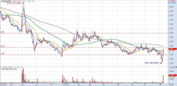  2019년 8월 8일 특징주