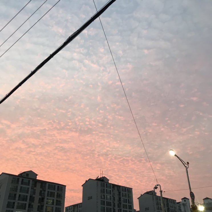  늘 그렇듯, 방학은 참 빨리 지나가지