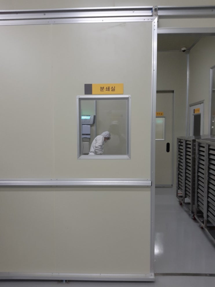  몰로키아가 분말로 탄생하는날