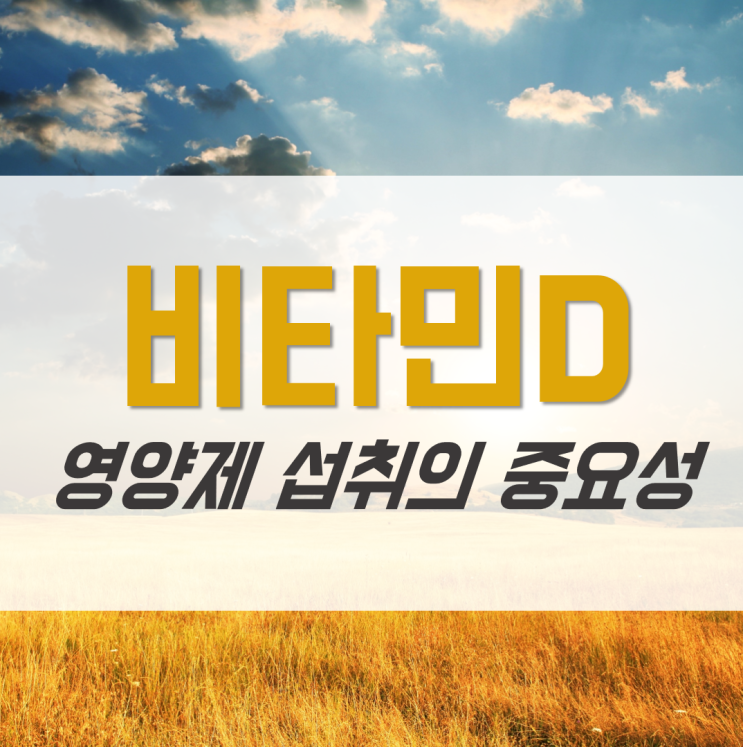  비타민D로 각종 질병 위험으로부터 벗어나기