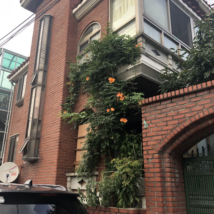  190807 일상
