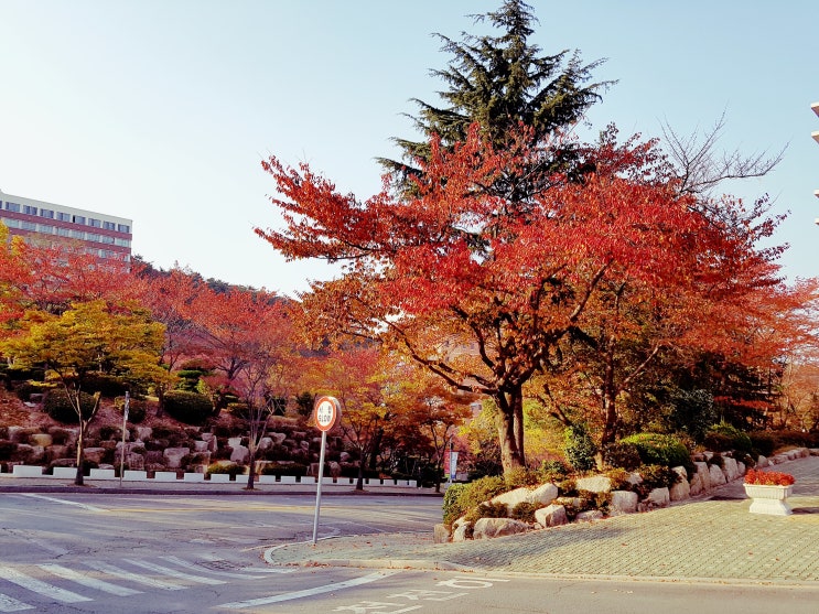  오늘은 입추입니다.