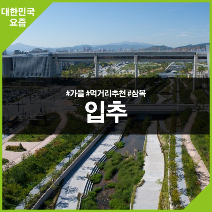  입추, 2019년 가을이 오다! 복숭아와 새우가 맛나요!